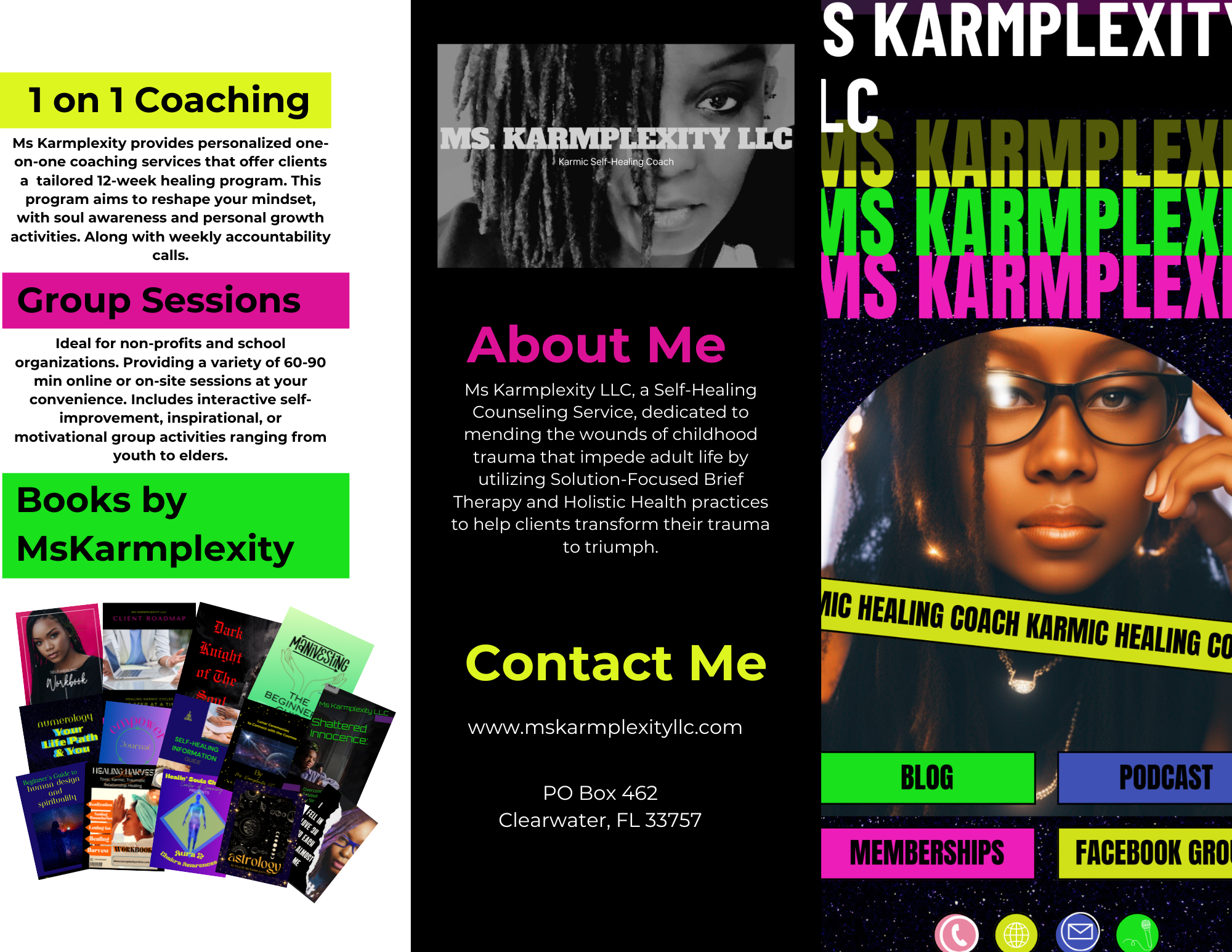 the brochure (2)